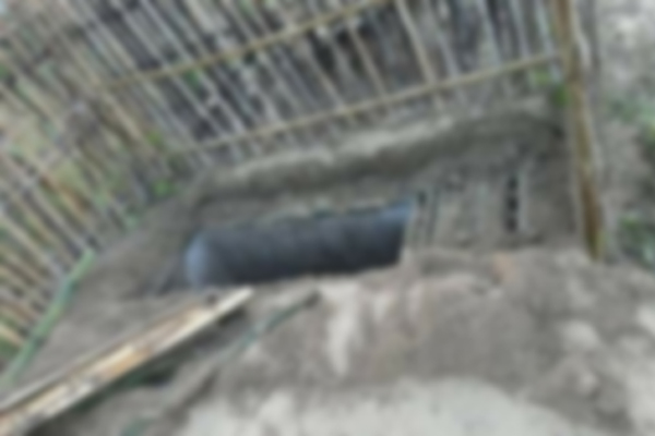 কবর খুঁড়ে বৃদ্ধার লাশের মাথা কেটে নিল দুর্বৃত্তরা!