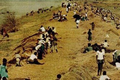 আজ ভয়াল ১২ নভেম্বর, উপকূলবাসীর কান্না ঝরানো সেই দিন