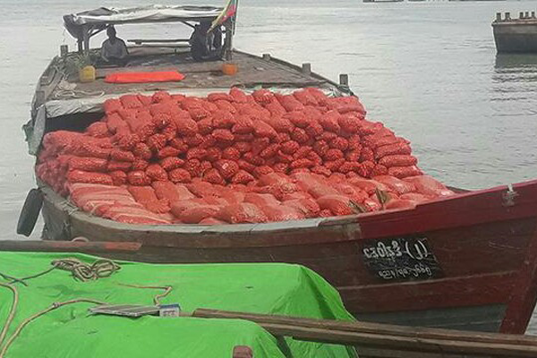 মিয়ানমার থেকে দুই দিনে এলো ৫২ টন পিয়াজ   

