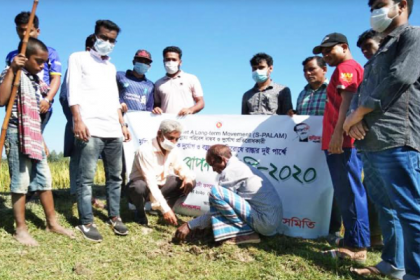 কটিয়াদীতে বজ্রপাত রোধে তালবীজ রোপন