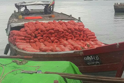 মিয়ানমার থেকে দুই দিনে এলো ৫২ টন পিয়াজ   

