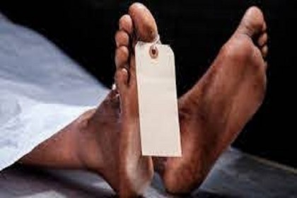 গৌরনদীতে সাপের কামড়ে একজনের মৃত্যু