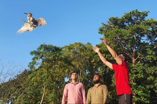 ক্রেতার ছদ্মবেশে দুই পাখি বিক্রেতাকে আটক