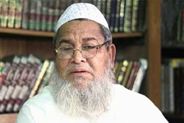 আমি আমির হতে চাইনি, সিনিয়ররা আমাকে দায়িত্ব দিয়েছেন : বাবুনগরী