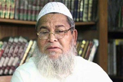 আমি আমির হতে চাইনি, সিনিয়ররা আমাকে দায়িত্ব দিয়েছেন : বাবুনগরী