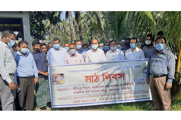 বরিশালে নারিকেলের পোকা দমন ব্যবস্থাপনা মাঠ দিবস অনুষ্ঠিত