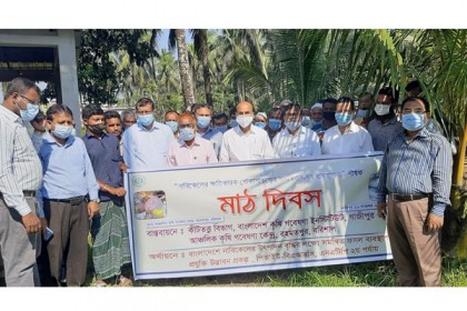 বরিশালে নারিকেলের পোকা দমন ব্যবস্থাপনা মাঠ দিবস অনুষ্ঠিত