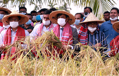 ব্রি’তে নানা আয়োজনে নবান্ন উৎসব উদযাপন