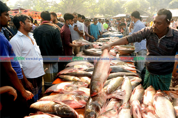 বগুড়ায় মাছের মেলা