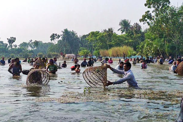 নলডাঙ্গা কুড়ি বিলে পলো উৎসব