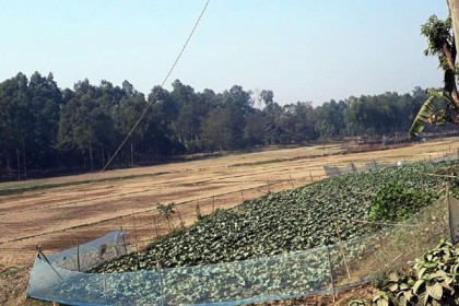 গর্ভেশ্বরী নদী এখন চাষাবাদের ক্ষেত!