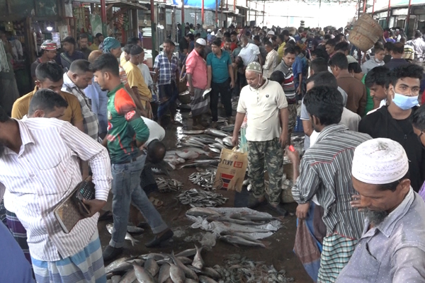 ইলিশ শূন্য বরিশাল মোকাম, পাঙ্গাসসহ সয়লাব দেশীয় মাছে