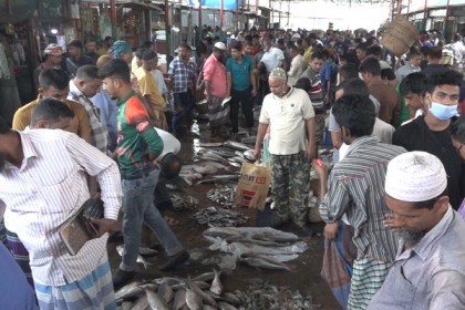 ইলিশ শূন্য বরিশাল মোকাম, পাঙ্গাসসহ সয়লাব দেশীয় মাছে