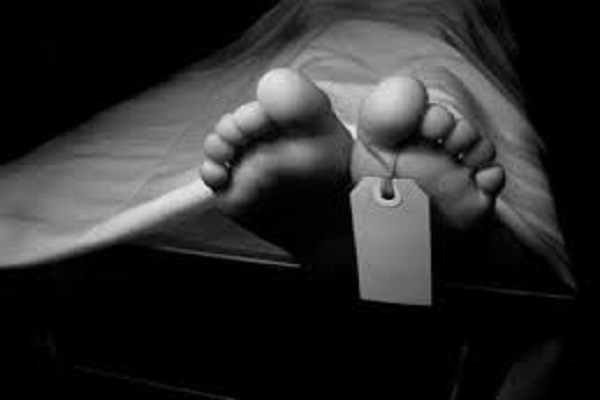 ঠাকুরগাঁওয়ে মাহেন্দ্র ট্রাক্টরের চাপায় চালকের মৃত্যু