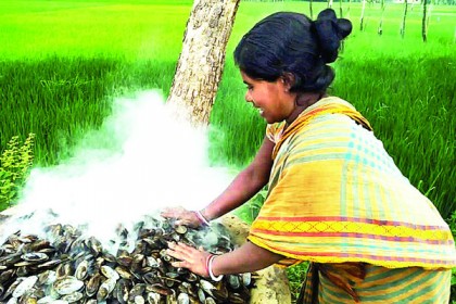 পোড়া ঝিনুকের আয়েই চলে সংসারের চাকা