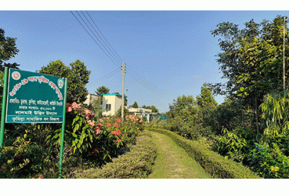 লাল পাহাড়ের চূড়ায় সবুজের মেলা
