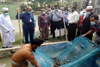 কলাপাড়ায় মৎস্য গবেষণা ইনস্টিটিউটের কার্যক্রম পরিদর্শনে মন্ত্রণালয়ের সচিব