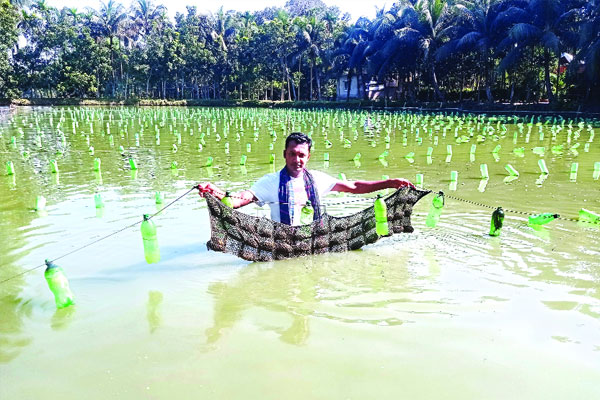 রাজবাড়ীতে পুকুরে মুক্তা চাষ