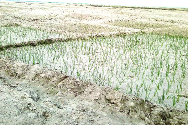 বিলীন উত্তরের ২ হাজার কিলোমিটার নদীপথ