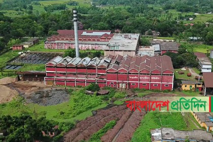 ঠাকুরগাঁওয়ে চিনিকলে বেতনহীন ৫ মাস