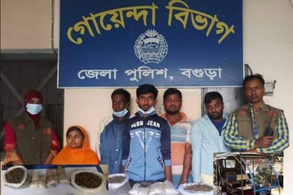 বগুড়ায় গাঁজা ও ইয়াবাসহ আটক ৫
