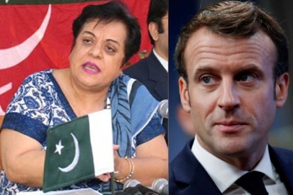 ফ্রান্সের প্রেসিডেন্টকে ‘নাৎসি’ ডাকলেন পাকিস্তানি মন্ত্রী, অতঃপর..!