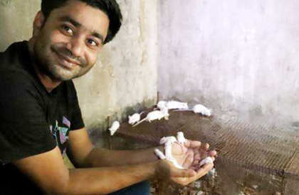 বাণিজ্যিকভাবে ইঁদুর চাষ করছেন রাবির ল্যাব সহকারী