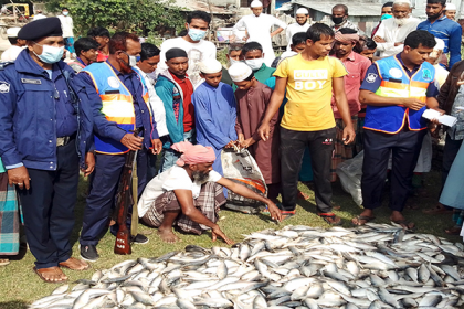 কলাপাড়ায় জালসহ ১০ মণ জাটকা জব্দ

