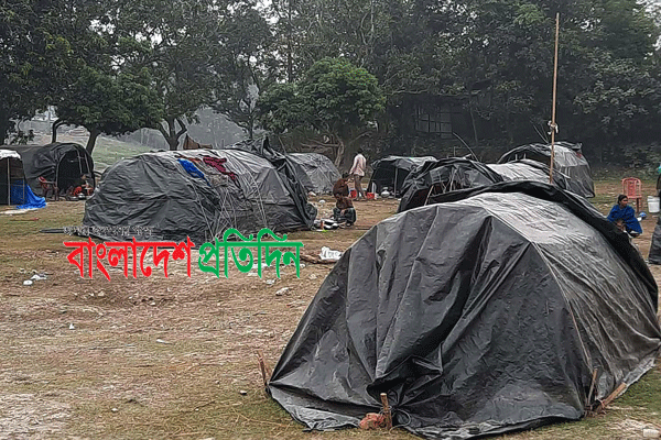সাপ খেলায় এখন আর পেট বাঁচে না বেদে সম্প্রদায়ের