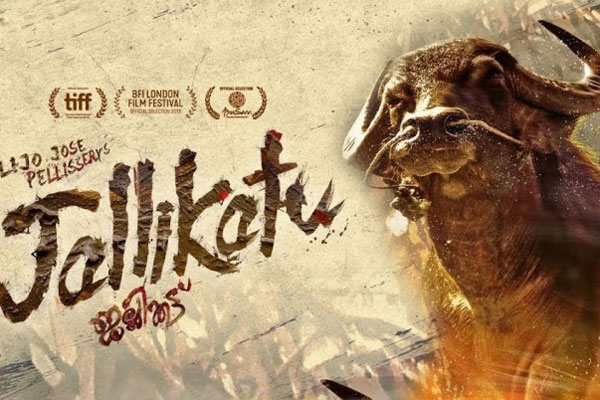 অস্কারে মনোনয়ন পেল ‘জাল্লিকাট্টু’