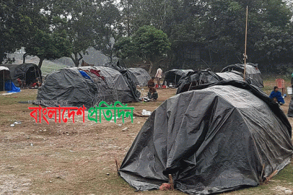 সাপ খেলায় এখন আর পেট বাঁচে না বেদে সম্প্রদায়ের