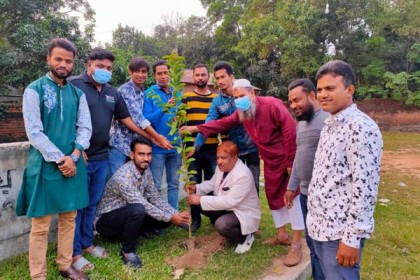 বগুড়া ছাত্রলীগের উদ্যোগে বৃক্ষরোপণ
