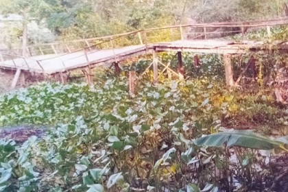 গলাচিপার চাঁনখা ব্রিজের বেহাল দশা