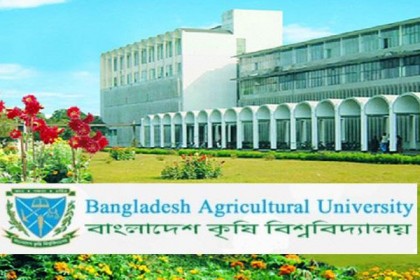 জৈব উপাদান দিয়ে ইট ভাটার জমির উর্বরতা ফিরিয়ে আনা সম্ভব!