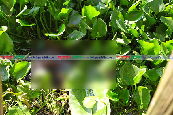 সিরাজগঞ্জে বৃদ্ধার অর্ধগলিত লাশ উদ্ধার