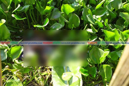 সিরাজগঞ্জে বৃদ্ধার অর্ধগলিত লাশ উদ্ধার