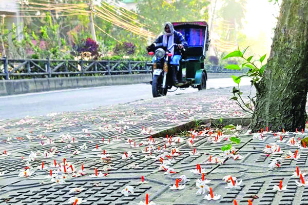 শব্দ দূষণমুক্ত ‘নীরব এলাকা’