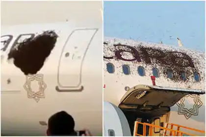 কলকাতার বিমানে ঝাঁকে ঝাঁকে মৌমাছি! (ভিডিও)