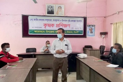 বিশ্বনাথে চাষাবাদ পদ্ধতি নিয়ে কৃষক প্রশিক্ষণ