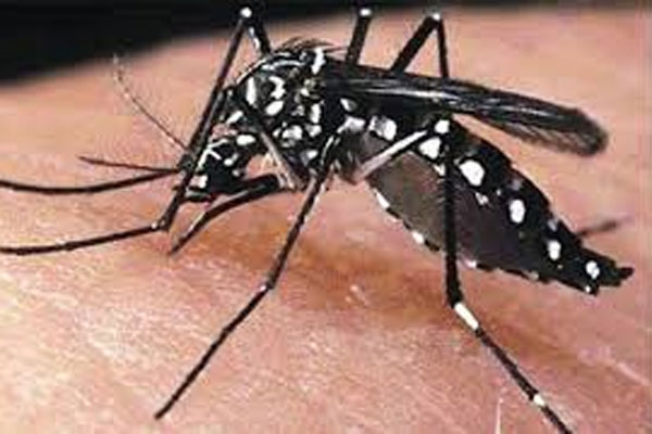 খুলনায় ডেঙ্গু জ্বরে আক্রান্ত এক জনের মৃত্যু