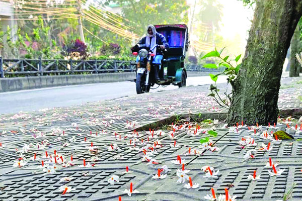 শব্দ দূষণমুক্ত ‘নীরব এলাকা’