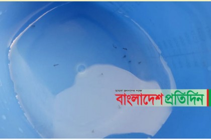 পৌরসভার সরবরাহকৃত পানিতে কিলবিল করছে পোকা!