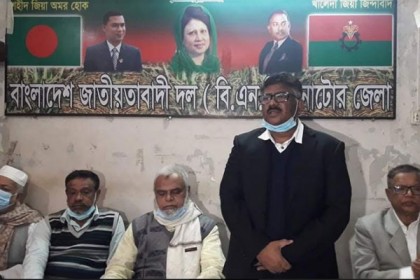 দেশে গণতন্ত্র আর আইনের শাসন বলে কিছু নেই: দুলু 