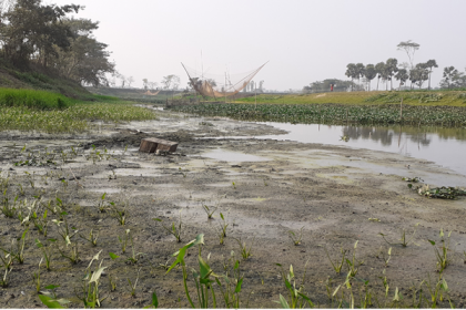 কালাডুমুর খননে উৎপন্ন হবে ১২ লাখ ৫০ হাজার মণ বোরো ধান