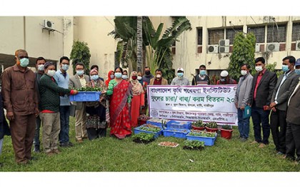বারি’তে কৃষকদের মাঝে ফুলের চারা ও করম বিতরণ