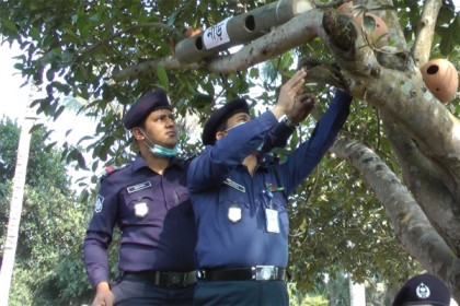 পাখি রক্ষায় গাছে গাছে মাটির কলস
