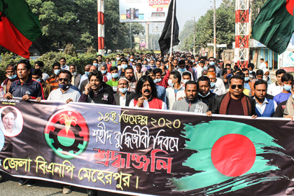 মেহেরপুরে শহীদ বুদ্ধিজীবী দিবস পালন বিএনপির