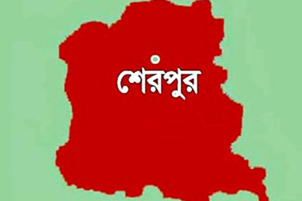 শেরপুরে দুই ব্যবসা প্রতিষ্ঠানে দুর্বৃত্তদের হানা, মালামাল লুট