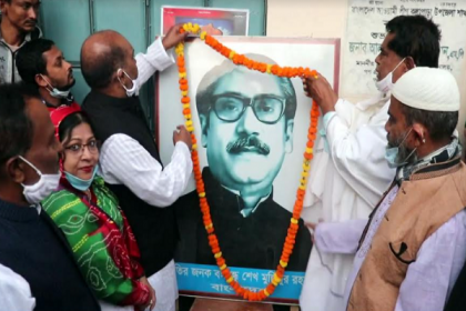 যথাযোগ্য মর্যাদায় কলাপাড়ায় মহান বিজয় দিবস পালিত