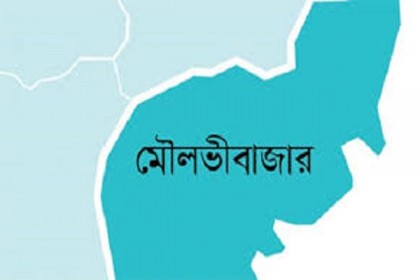 মৌলভীবাজারে মহান বিজয় দিবসে স্মৃতিসৌধে শ্রদ্ধা নিবেদন 